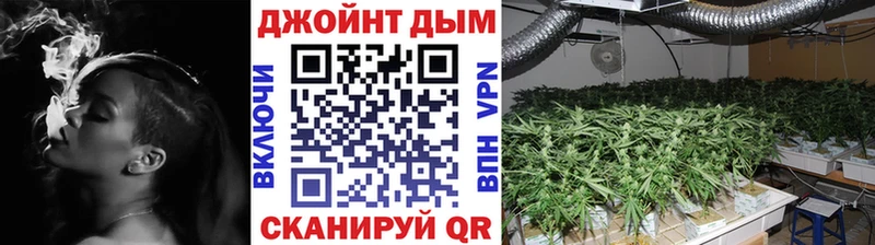 mega ССЫЛКА  Канаш  Конопля гибрид 